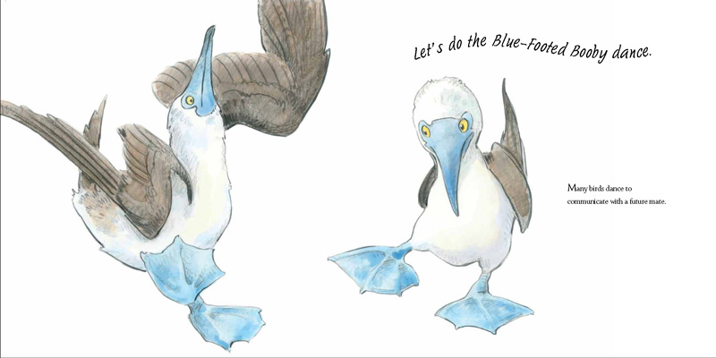 bird talk illustration lita judge