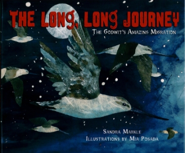 the long long journey cover image