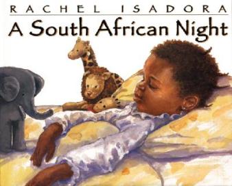 a south african night cover image