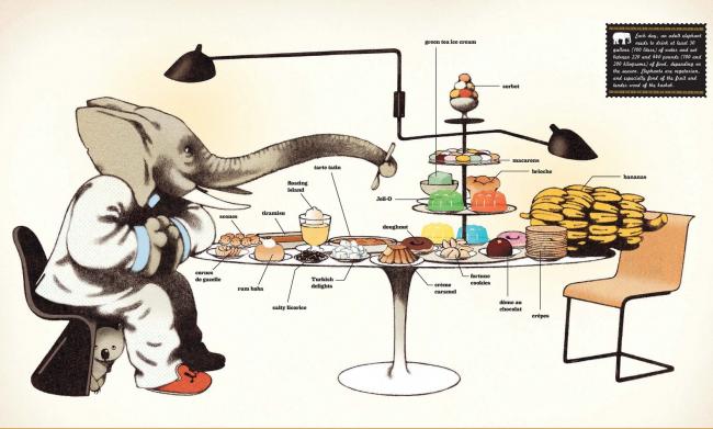 the memory of an elephant illustration jean-francois martin