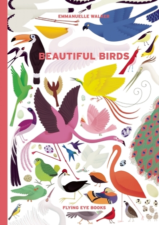 beautiful birds cover image