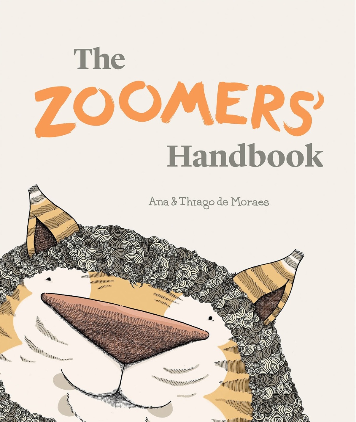 the zoomers' handbook cover image