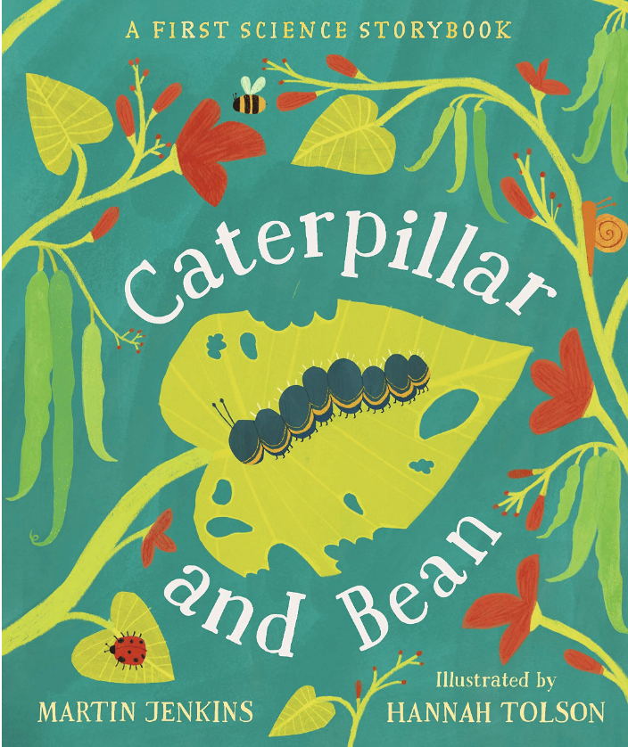 caterpillar and bean cover