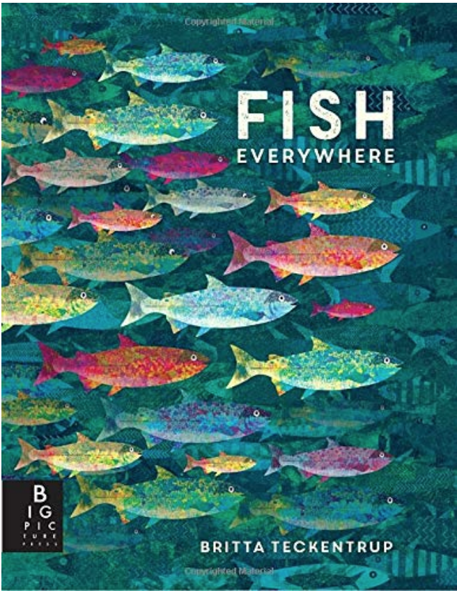 fish everywhere cover